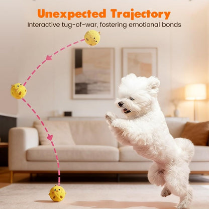 Squeaky Bouncy Dog Ball Toys